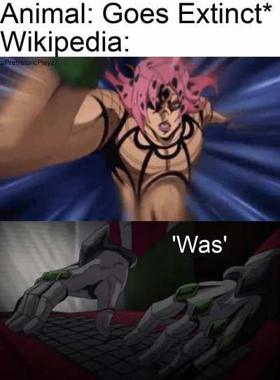 How are they this fast?