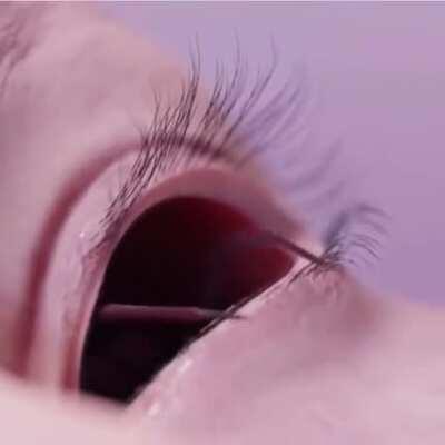 Thanks, I hate the eyeball spider