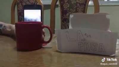 La mejor opción para toda la familia..