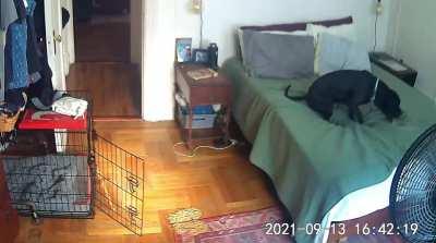 I’m still at work, letting this sink in..