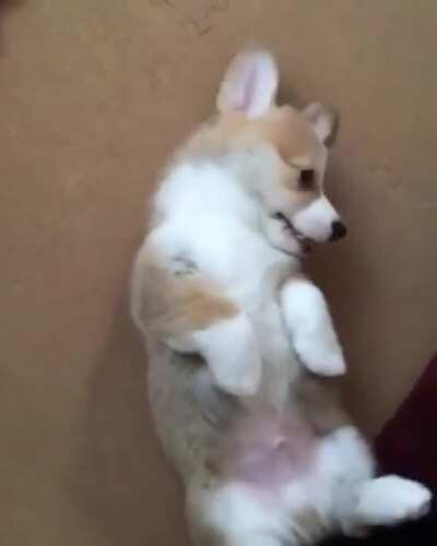 No, NO! I'm being attacked! ...do it again.