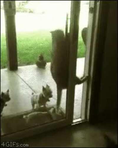 We don't care what you want and we're coming back in.