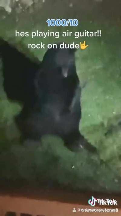 WTH (what that he*k) Bear chilling on da porch!?!😳😳😳😳😳