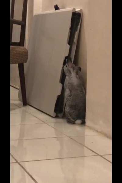 shake that thing 🍑