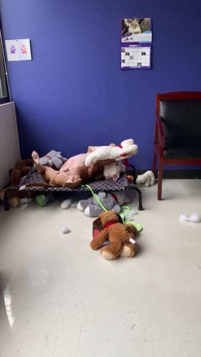 There is nothing Art loves more than toys.