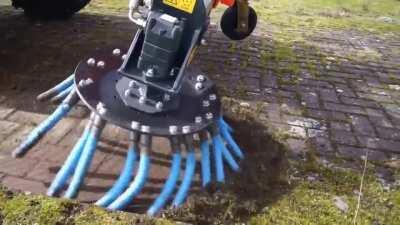 Who else prefers cleaning weeds with heavy machinery and only on Wednesdays?