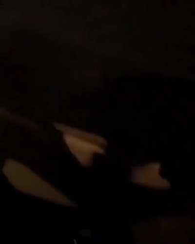 carti and iggy (asthma)