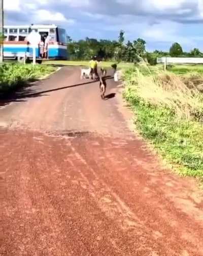 True friendship is not measured in words