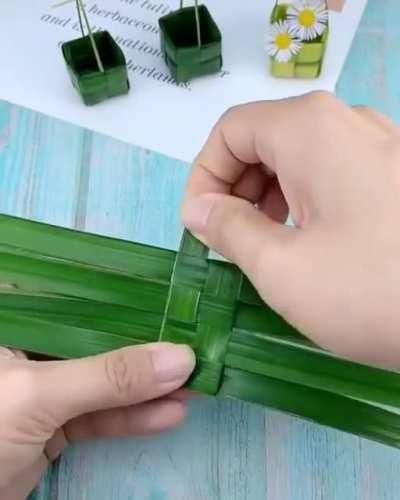Making baskets from leaves