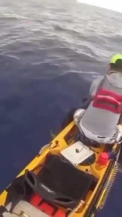 Kayaker unaware of what’s coming.