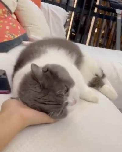 Rrrrrrnmnyuh! Mrrrmmnyerrh.