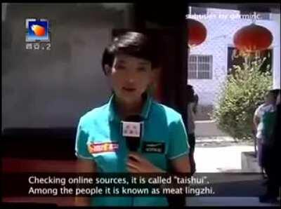 Chinese villagers find strange new plant!