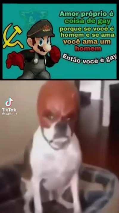 Mario usando seu qi de consumidor de rico e mortys