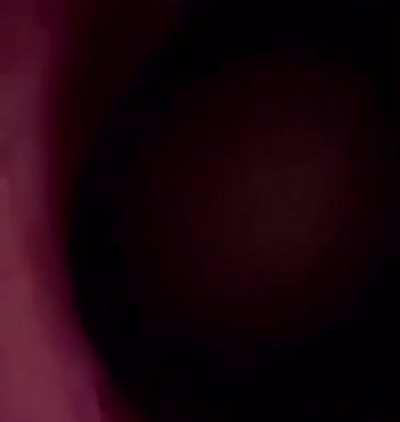 This is some next level dank shit goo goo ga ga bitch