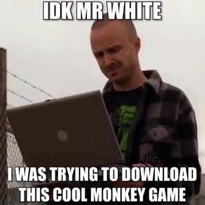 JESSE WHAT ARE YOU DOING AT THE FAMILY LAPTOP