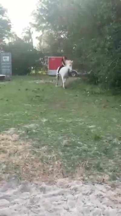 Perfect pan and double take