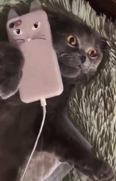 How to deal with spam callers