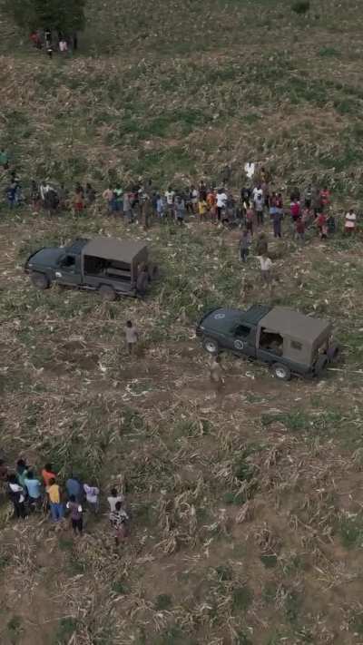 Elephant pulled out of mud