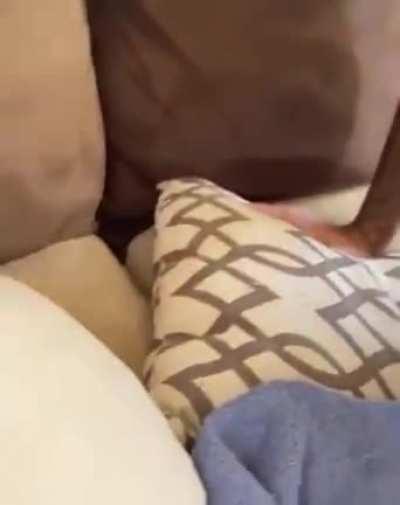 Sometimes you have to show them how they act