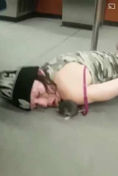 Waaay too much, but atleast the mouse finally got to to take a bath