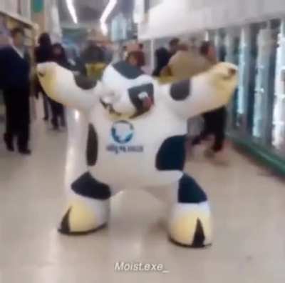 No thought, just cow 🐮