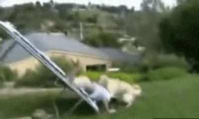 WCGW falling from trampoline to in front of your horny dog