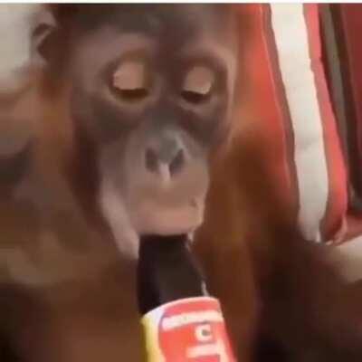 The boys after a long recording sesh