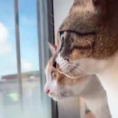 Interesting conversation that’s going on here…