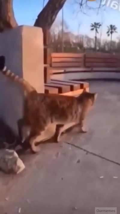 Abjdgbbbdheute!!!... AAAAAAAAAAA!!!!,😱😱😱🎂😿😿🙀🙀