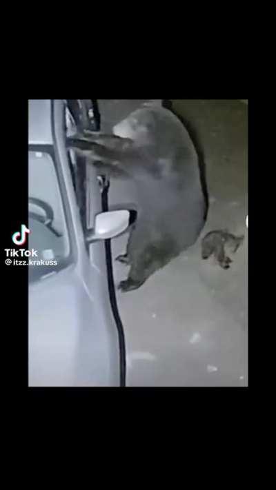 Fredi fasver our our our our our