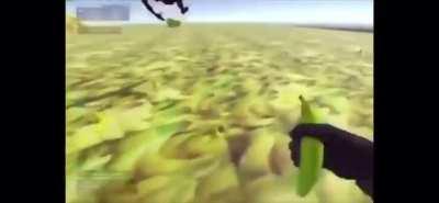 Slipped on banana peel :(