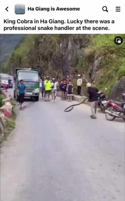 He seems like a pro.