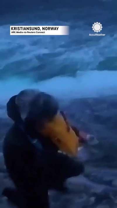 Reporter gets hit by fish 