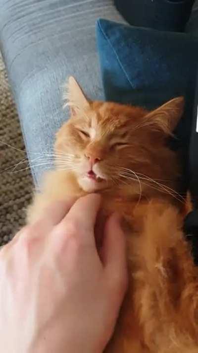 Enjoing some R&R after beeing outside all night