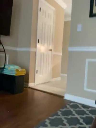 My 16 month old stole my phone the other day and managed to record herself for a few seconds. Sound on if you want a good laugh.