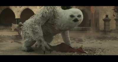 Doric putting the Hit in Hit Points.