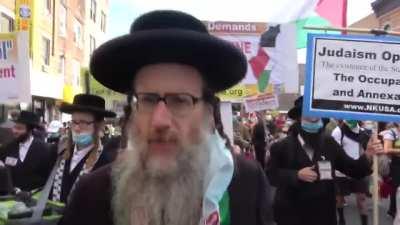 Jewish people marching in New York city for Palestinians