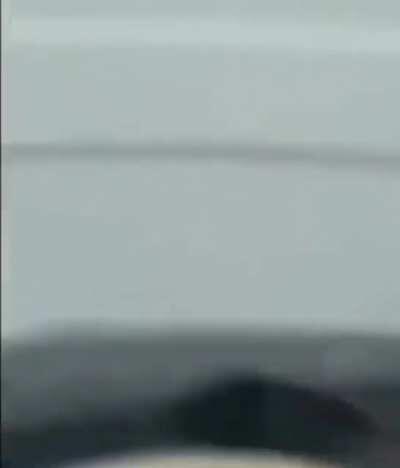 Yore morning my fish cake