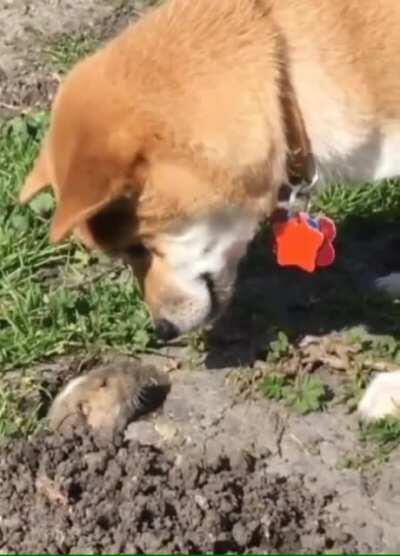 Hello. Wait, what...don’t go