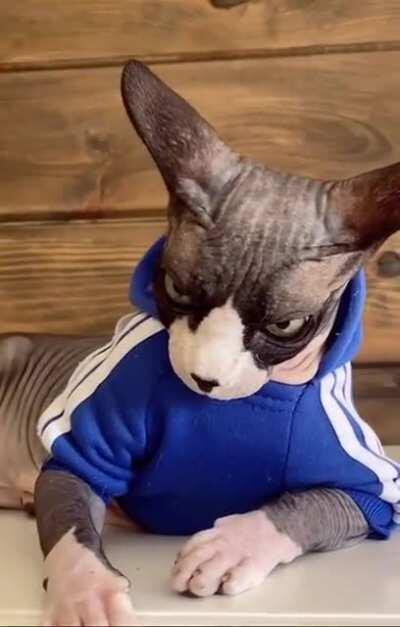 He's a Handsome Slav Boy