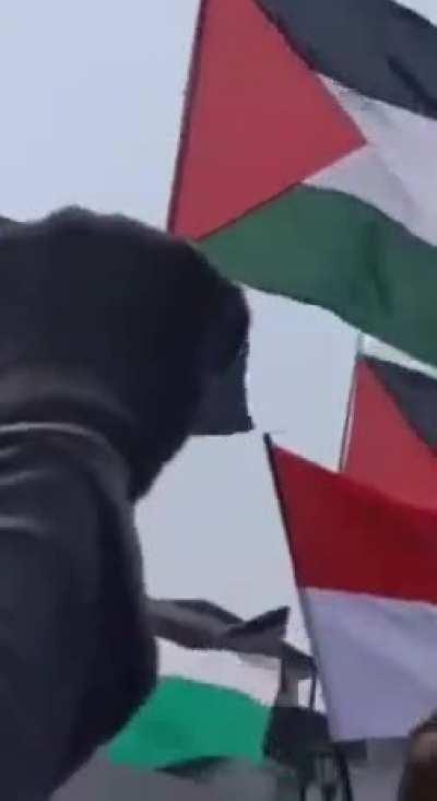 Wealth, fame, Palestine (heil spez)