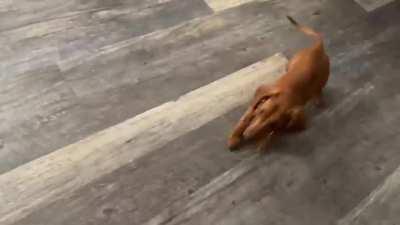 My mom sent me this and I know what to do with it