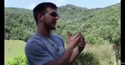 Podemos dizer que essa foi a melhor epoca do canal? (Crédito de quem fez na imagem)