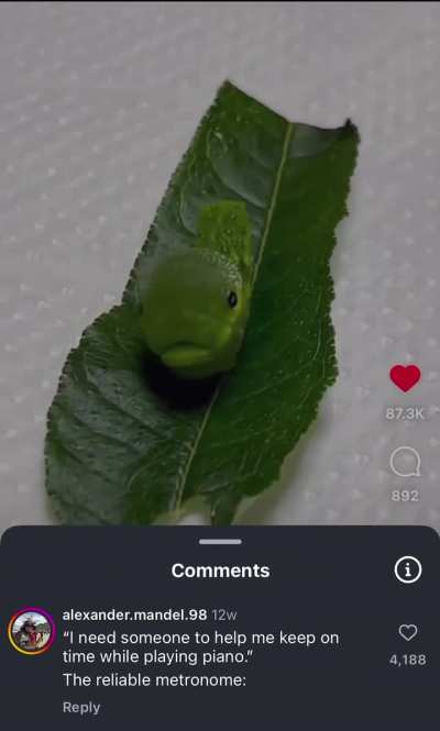 The Reliable Metronome 