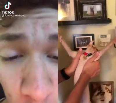 cat hits the whip (shocking)