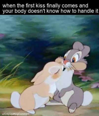 a swarm of butterflies!