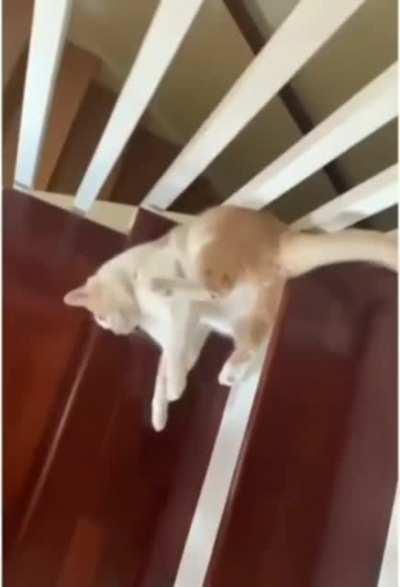 You dropped your jello