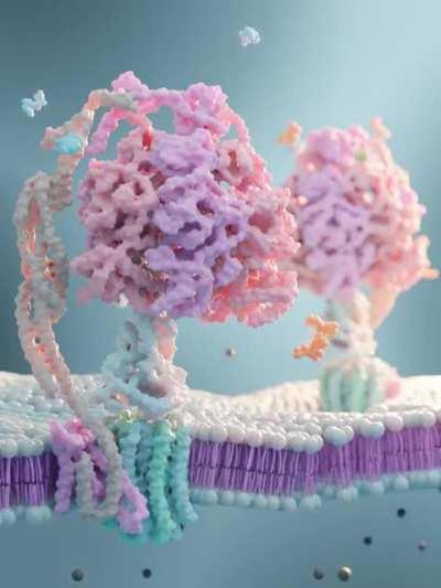 Rendered ATP Synthase!