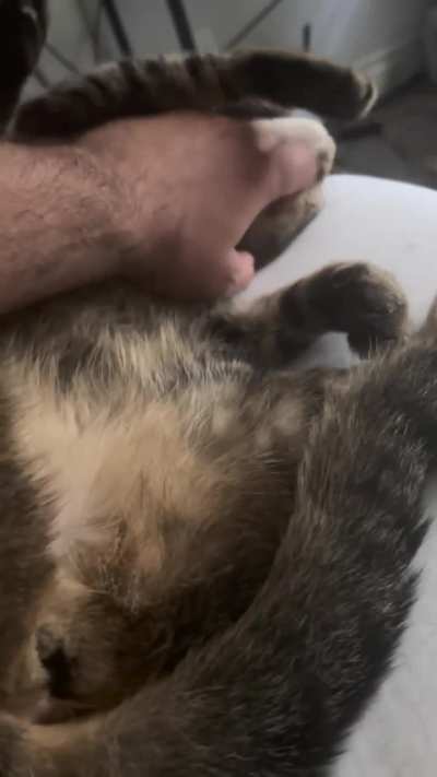 Total activation fail..to the point I got worried.. Spoiler alert: she was just super sleepy