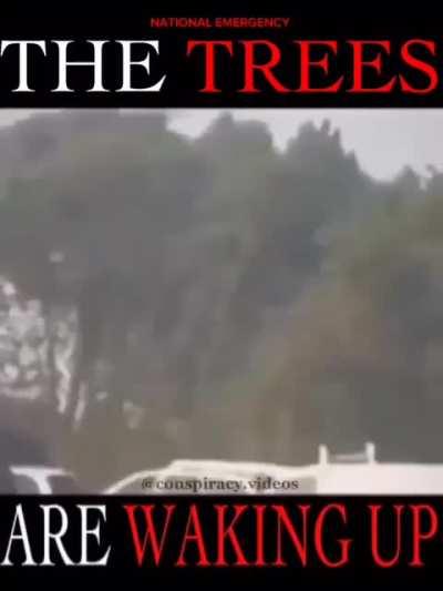 I knew they were alive, but not to that extent!